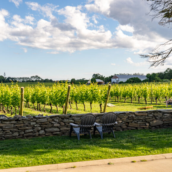 Newport Vineyards