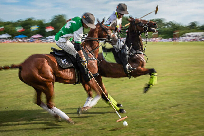 Newport Polo